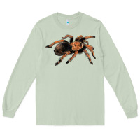 Matcha Mexican Red Knee Tarantula Long Sleeve Tee - LillyAllenDesigns