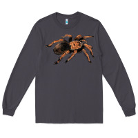Smoke Mexican Red Knee Tarantula Long Sleeve Tee - LillyAllenDesigns