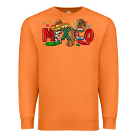 Carrot colorful mexico collage Premium Sweatshirt - LillyAllenDesigns