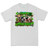Dove Grey St Patricks Day Lucky Heifers Premium Tee - RanaPortraitStore
