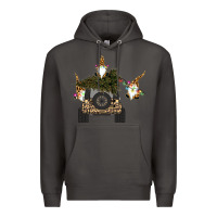 Smoke Gnomes Truck Car  Christmas Premium Hoodie - Bettercallsaul