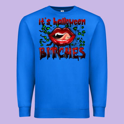 It's Halloween Bitches Premium Sweatshirt Designed By Bundleandbundleshop
