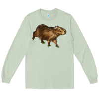 Matcha Capybara Long Sleeve Tee - LillyAllenDesigns