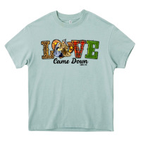 Arona Love Came Down Baby Jesus Christmas Heavy Core Tee - RanaPortraitStore