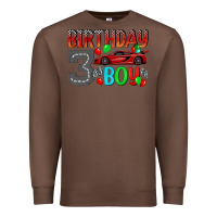 Chestnut birthday boy 3 Premium Sweatshirt - BundleAndBundleShop