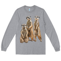 Heather Grey 3 meerkat Long Sleeve Tee - LillyAllenDesigns