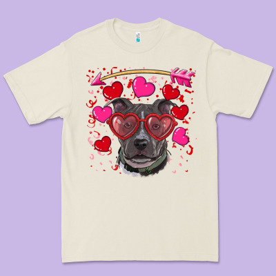 Premium Tee Valentine's day  pitbull