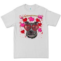 Dove Grey Valentine's day  pitbull Premium Tee - RanaPortraitStore