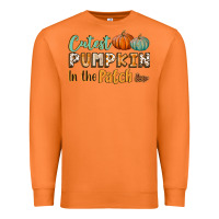Carrot cutest pumpkin in the patch Premium Sweatshirt - BundleAndBundleShop