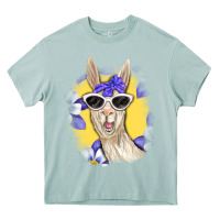 Arona Llama With Sunglasses Heavy Core Tee - RanaPortraitStore