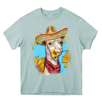 Arona Sombrero Llama Heavy Core Tee - RanaPortraitStore