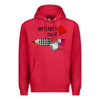Cardinal my students stole my heart Premium Hoodie - Bettercallsaul