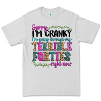Dove Grey sorry im cranky im going through my terrible forti Premium Tee - texasbilliewilder
