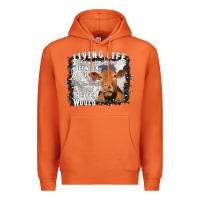 Carrot Between Jesus Take The Wheel I Wish A Heifer Would Premium Hoodie - Bettercallsaul