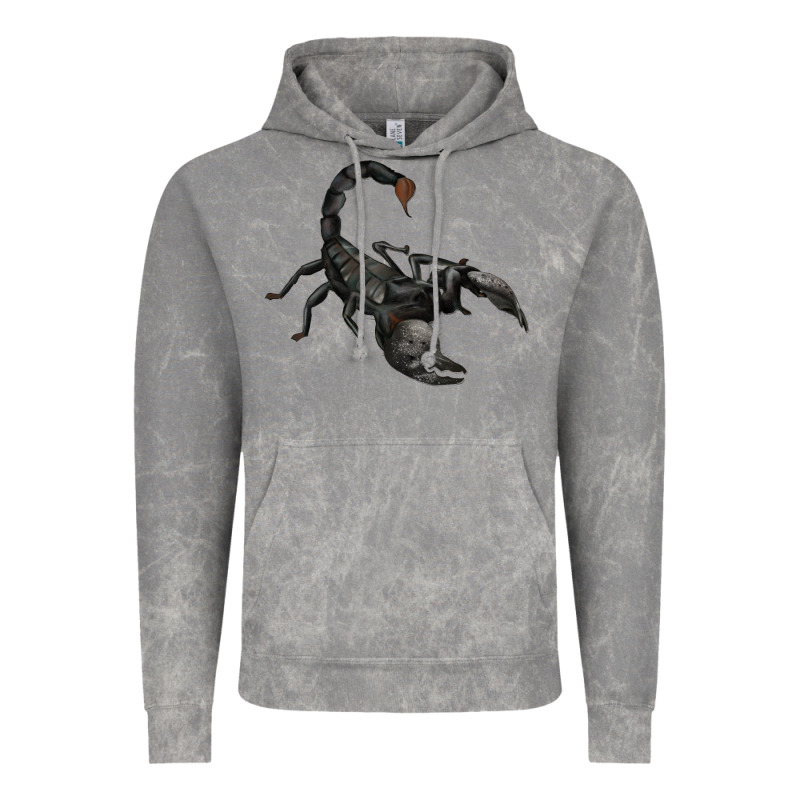 Scorpion Vintage Hoodie by JahusDesignShop | Teevron