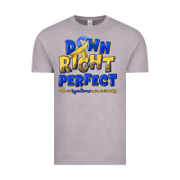 Vintage Zinc down right perfect down syndrome Vintage Tee - Artiststas