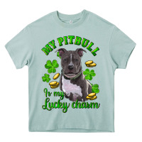 Arona st patricks day my pitbuli my lucky charm Heavy Core Tee - RanaPortraitStore