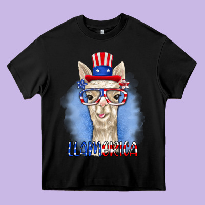 Heavy Core Tee llamerica