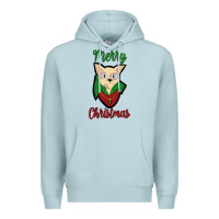 Blue Mist Merry Christmas Cat Premium Hoodie - Bettercallsaul