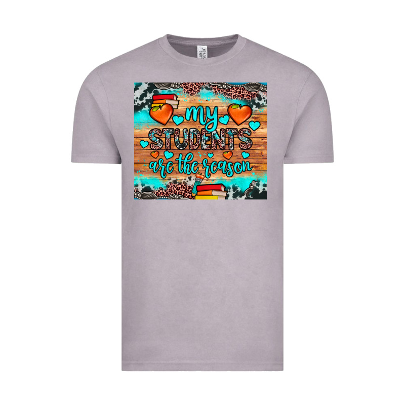 My Students Are The Reason Vintage Tee by JahusDesignShop | Teevron