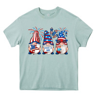 Arona fourth of july gnomes Heavy Core Tee - RanaPortraitStore