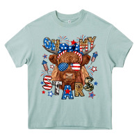 Arona oh my stars highland cow Heavy Core Tee - RanaPortraitStore