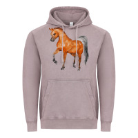 Vintage Zinc horse Vintage Hoodie - FaDigitalArtStudio