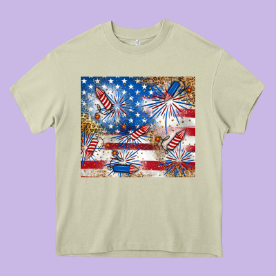 Heavy Core Tee American