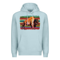 Blue Mist Aztec Buffalo Premium Hoodie - Bettercallsaul