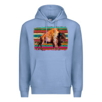Colony Blue Aztec Buffalo Premium Hoodie - Bettercallsaul