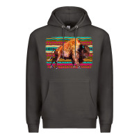 Smoke Aztec Buffalo Premium Hoodie - Bettercallsaul