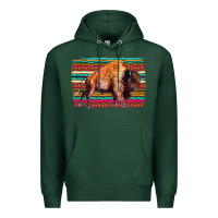 Sports Green Aztec Buffalo Premium Hoodie - Bettercallsaul