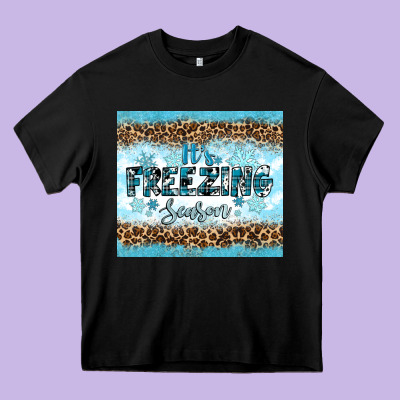 Heavy Core Tee its freezing