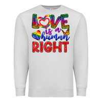Dove Grey Love İs a Human Right Premium Sweatshirt - BundleAndBundleShop