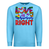 Love İs A Human Right Premium Sweatshirt | Teevron