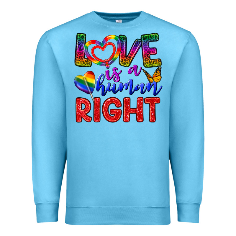 Love İs A Human Right Premium Sweatshirt by BundleAndBundleShop | Teevron