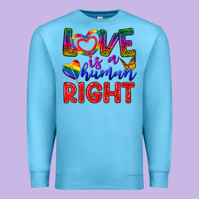 Love İs A Human Right Premium Sweatshirt Designed By Bundleandbundleshop