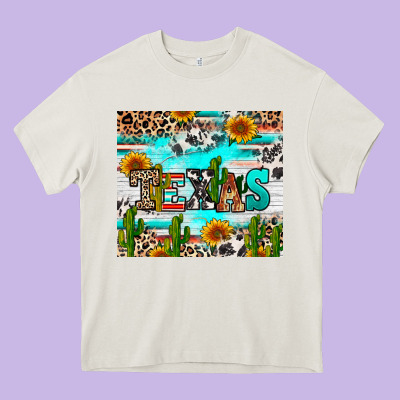 Heavy Core Tee texas