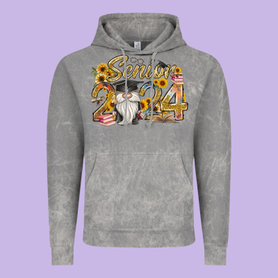 Senior 2024 Vintage Hoodie Designed By Racoondesign