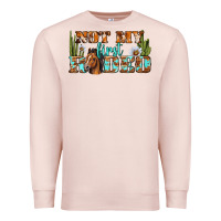 Pale Pink Not My First Rodeo Western Premium Sweatshirt - BundleAndBundleShop