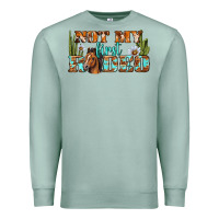 Seafoam Not My First Rodeo Western Premium Sweatshirt - BundleAndBundleShop