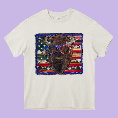 Heavy Core Tee bison with american flag