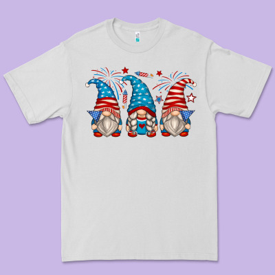 Premium Tee fourth of july gnomes
