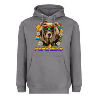 Storm Papa Bear Pride LGBTQ+ Heavyweight Hoodie - BundleAndBundleShop