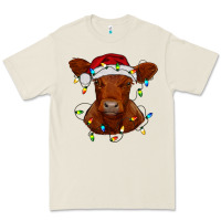 Bone Christmas baby red angus calf with lights Premium Tee - RanaPortraitStore