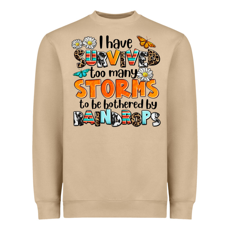 I Have Survived To May Storms To Be Bothered By Ra Heavyweight Sweatshirt by AdoDesignShop | Teevron