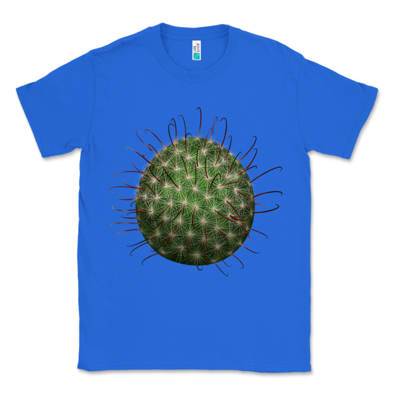 Arizona Fishhook Cactus Classic Tee by LillyAllenDesigns | Teevron