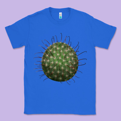 Arizona Fishhook Cactus Classic Tee Designed By Lillyallendesigns