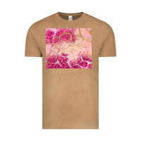 Vintage Camel pink glitter Vintage Tee - JahusDesignShop