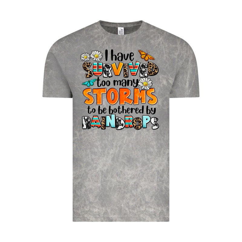 I Have Survived To May Storms To Be Bothered By Ra Vintage Tee by AdoDesignShop | Teevron